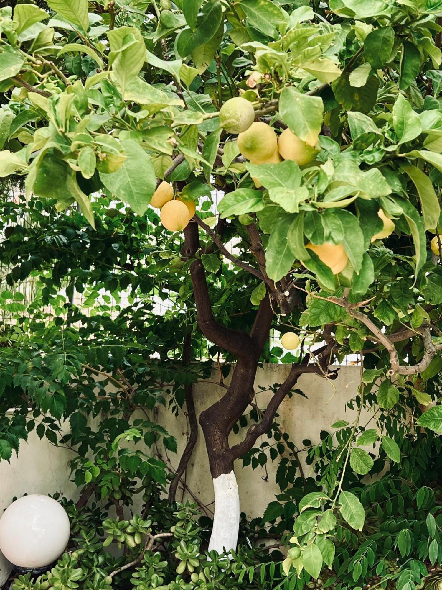 Appartamento Bella Vista *